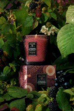 Classic Boxed Candle 60t Foraged Wildberry^VOLUSPA Discount