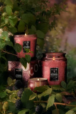 Classic Boxed Candle 60t Foraged Wildberry^VOLUSPA Discount