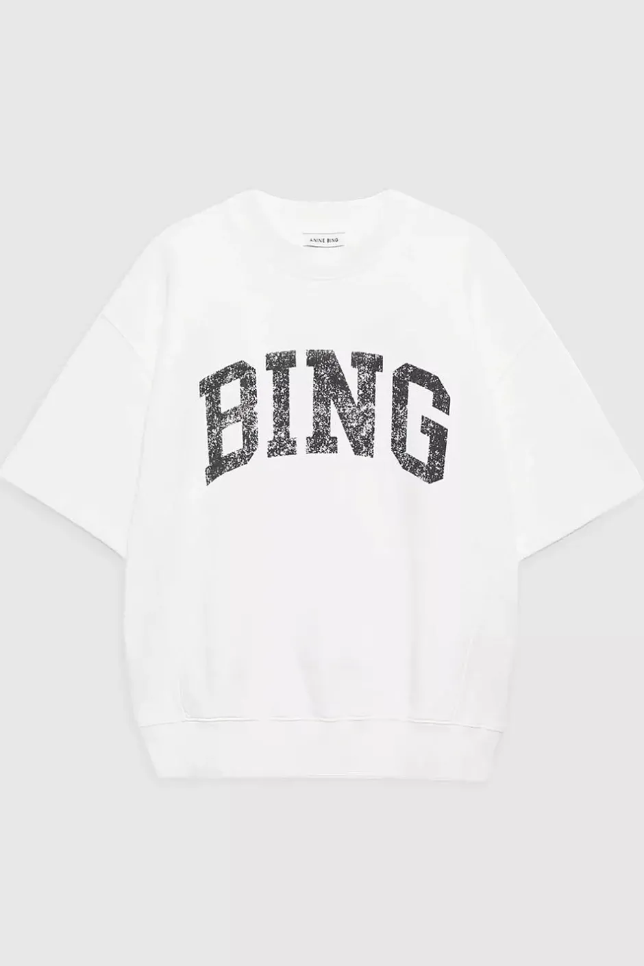 Jay Sweatshirt Bing Off White^ANINE BING Sale