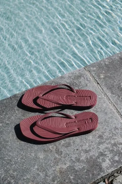 Tapered Flip Flops Burgundy^SLEEPERS Discount